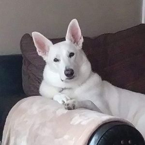 Meet your Posher, Gina